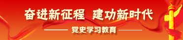 奮進新征程 建功新時代 ——黨史學習教育專題